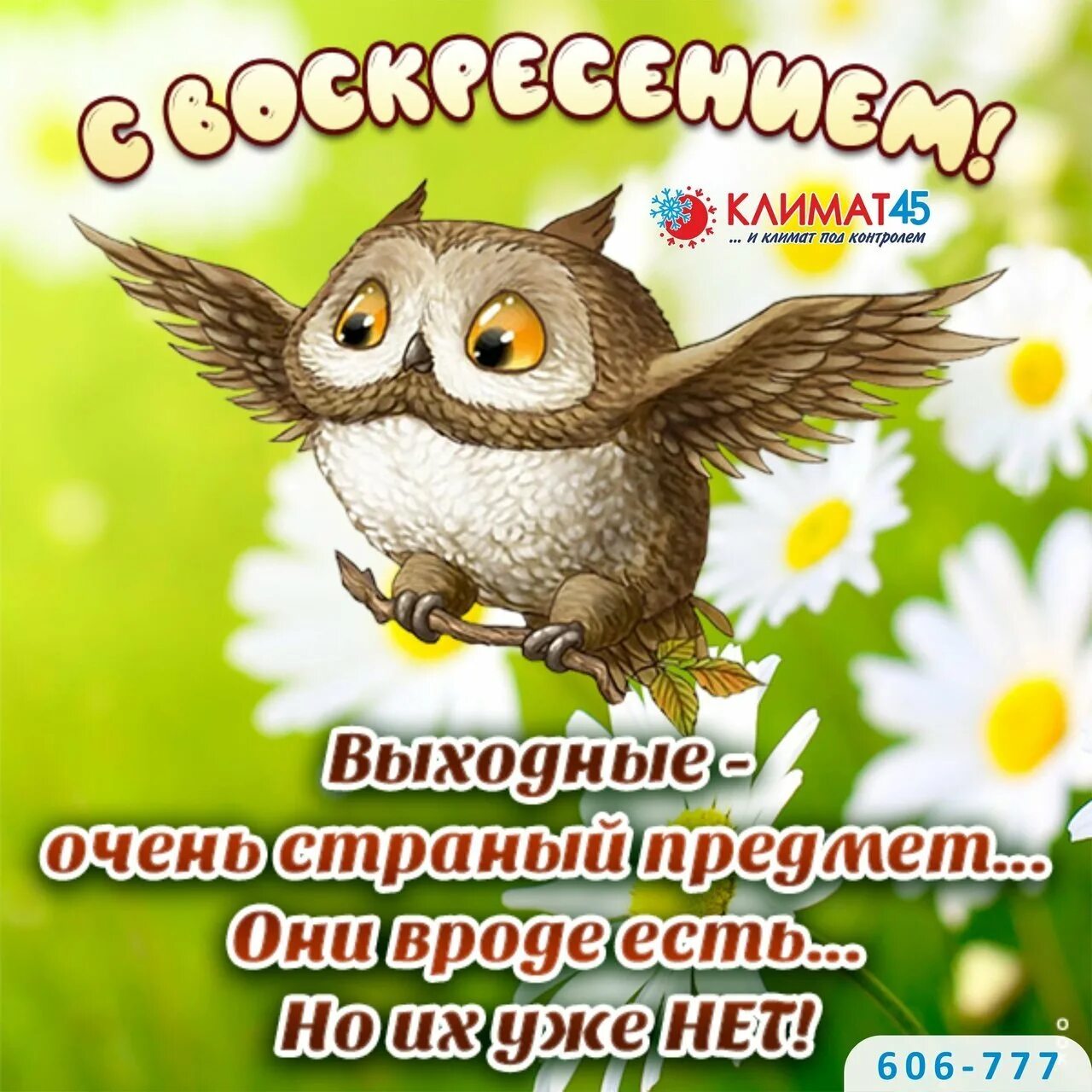 Доброго дня и хорошего настроения воскресного картинки. Прикольные поздравления с воскресеньем. открытки с воскресеньем. хорошего воскресного дня и отличного настроения. доброго воскресенья.