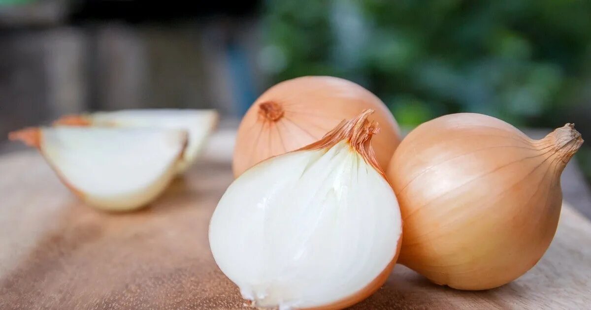 Луковица на белом фоне. Лук чеснок. Лук вид сверху. Пищевая ценность лук репчатый в 100 граммах. Лук репчатый жиры.