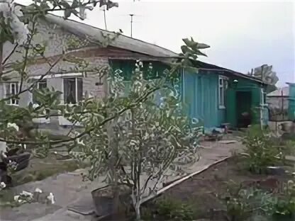 Погода в шульгинке