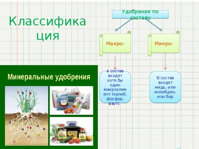 Необходимые микроэлементы для растений. Удобрения с содержанием каких макроэлементов. Таблица подкормки комнатных цветов. Основные элементы питания растений. Удобрения с содержанием каких макроэлементов.