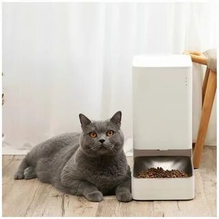 Mijia smart pet