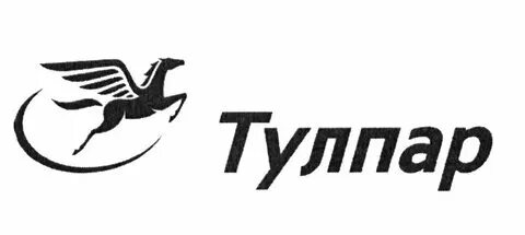 Тулпар трансфер