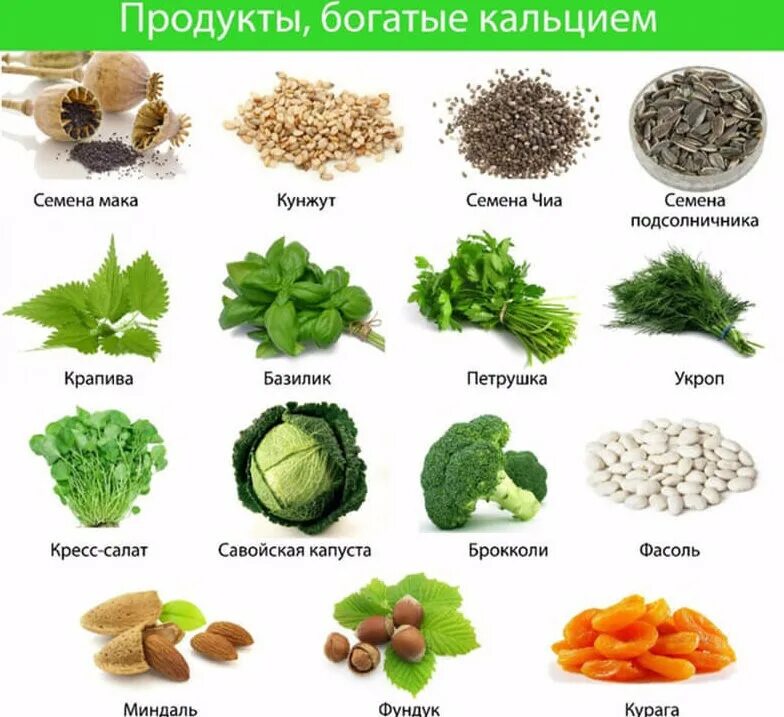 В каких травах содержится. Какие продукты обогащенные кальцием. растительные продукты содержащие кальций. продукты кальций содержащие для костей. в каких продуктах много кальция.