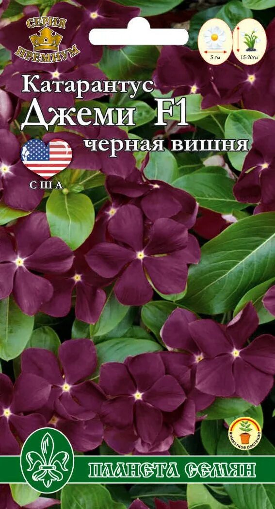 Катарантус тату папайя Фитостудия-63.ру