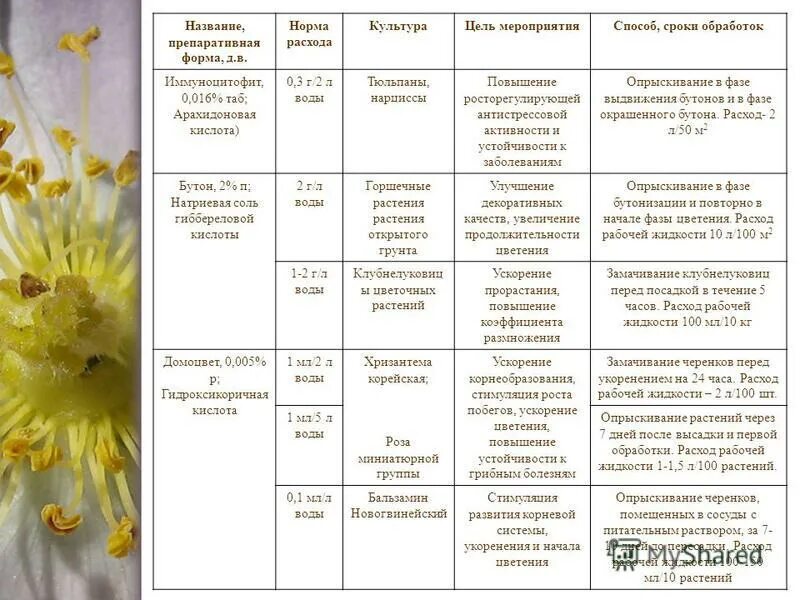 Фазы цветения растений. Фазы цветения растений