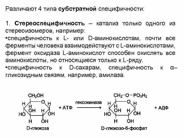 Субстратная специфичность ферментов. Каталитическая специфичность ферментов. Абсолютная и Относительная специфичность ферментов. Стереоспецифичность ферментов. Виды специфичности ферментов.