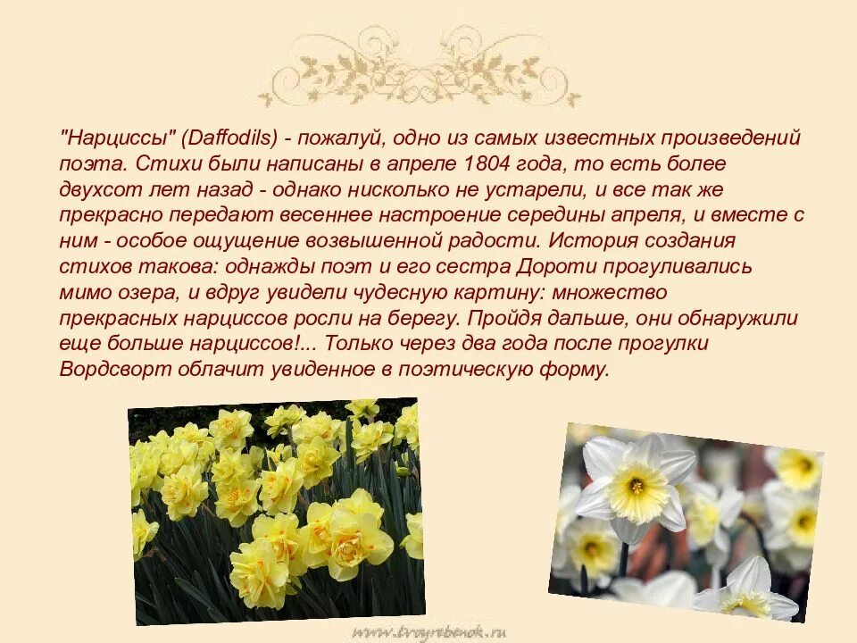 Проблемы нарциссов