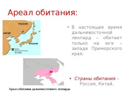 Дальневосточное время