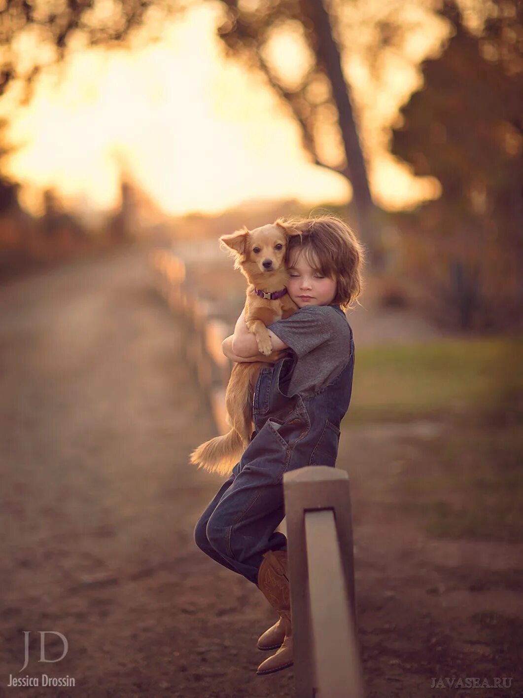 Jessica Drossin. Собака для детей. Мальчик. Мальчик с собакой.
