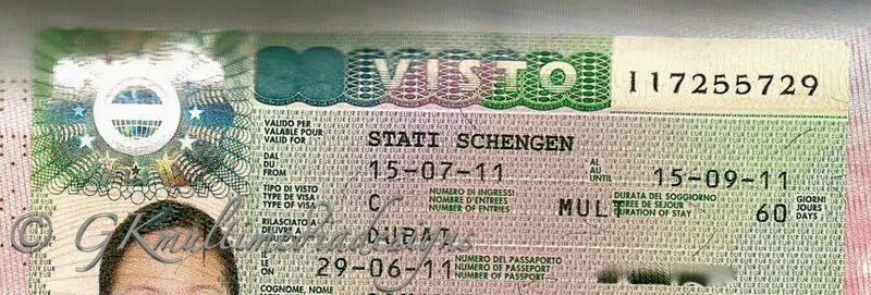 Виза шенген на 3 месяца. Виза д во Францию. Номер визы в Францию. Виза во Францию для россиян. Нужен номер франции