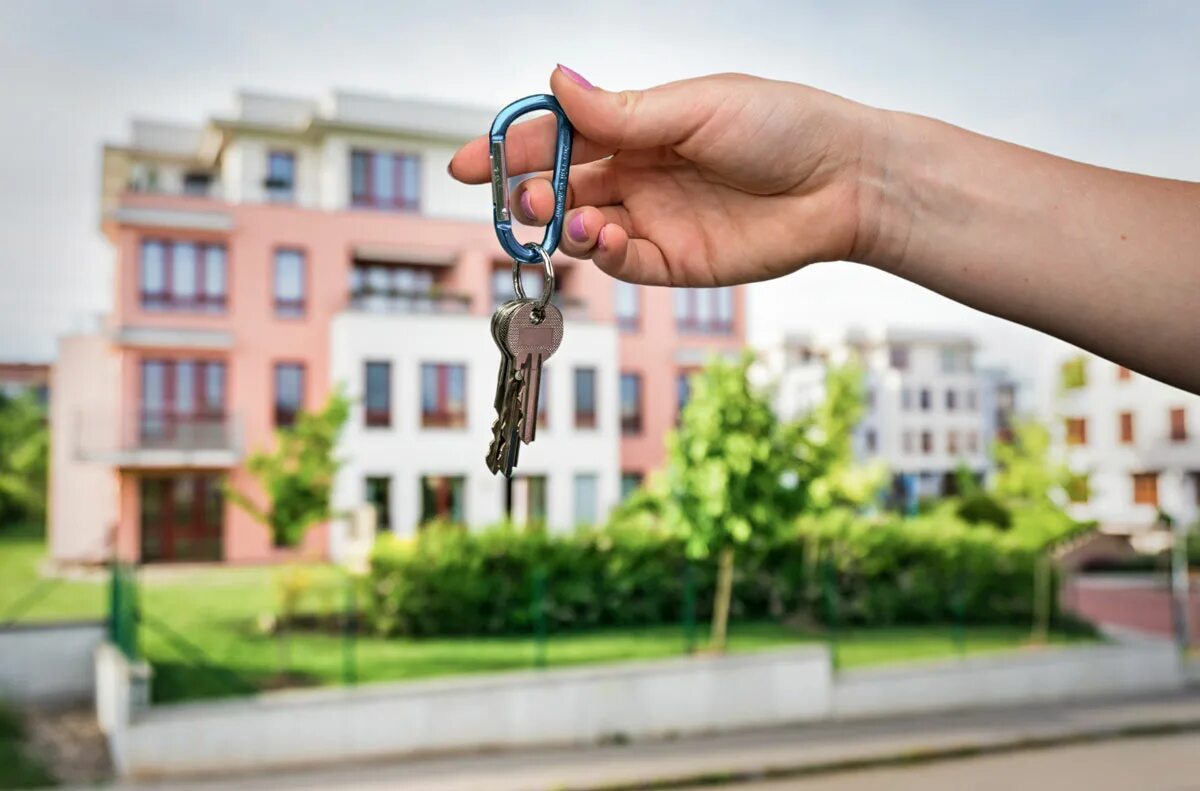 Аренда картинки. Куплю квартиру картинка. Как сдавать квартиру официально. Заработок на субаренде квартир. Заселение в квартиру.