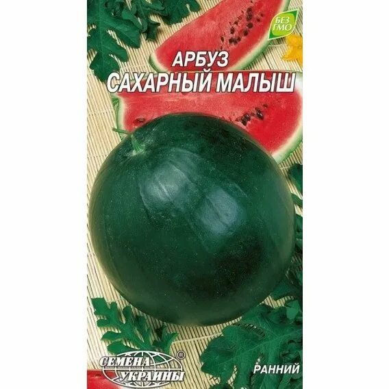 Арбуз сахарный малыш. Арбуз девочка. Сорт арбуза сахарный малыш. Сахарный малыш. Арбуз китайский сахарный малыш.