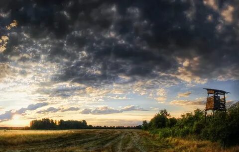 Ранимая природа