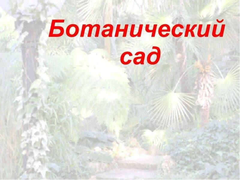 В ботаническом саду 1 класс. Ботанический сад презентация. ботанический сад для презентации шаблон. в ботаническом саду 1 класс презентация. ботанический сад окружающий мир 1 класс.