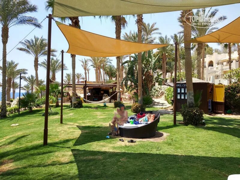 Grand rotana resort шарм-эль-шейх. Отель grand rotana resort spa 5 шарм-эль-шейх египет. Гранд ротана резорт шарм-эль-шейх. Grand rotana 5 шарм-эль-шейх. Шармаль шейх ротана.