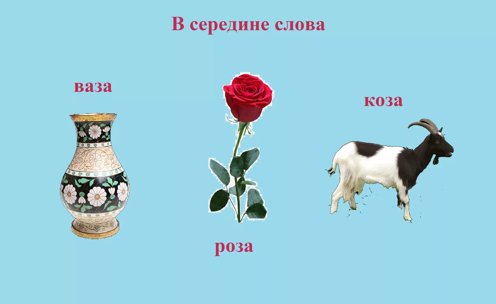 Розовая коза. Коза с цветком. Козы розы. Козочка с розой. Смешная коза.