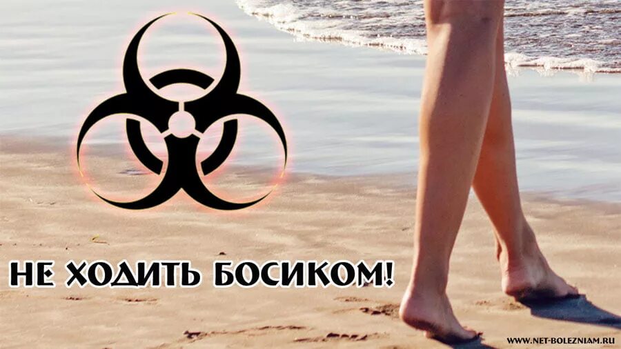 Страны паразиты. Паразиты человека в тропиках. тропические паразитарные болезни.