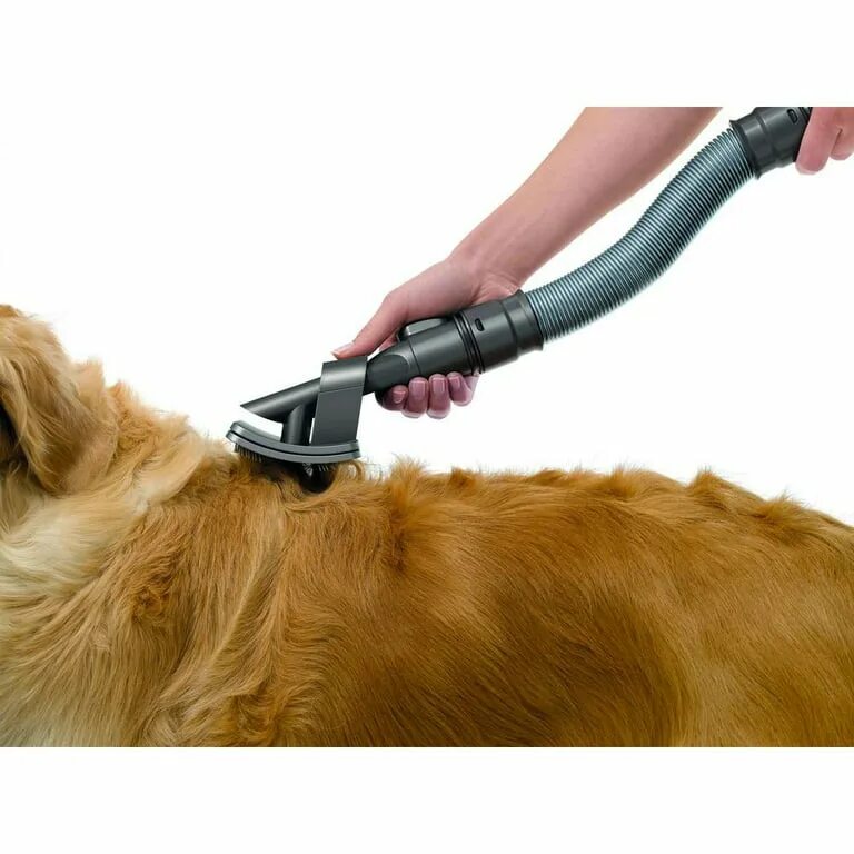 Лучшие пылесосы для шерсти животных. Dyson насадка для животных. пылесос от шерсти собак. пылесос для собачьей шерсти. щетка пылесос для животных.