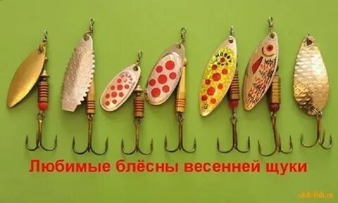 Любимая приманка щуки