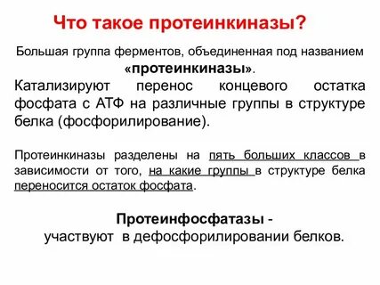 Протеинкиназа класс