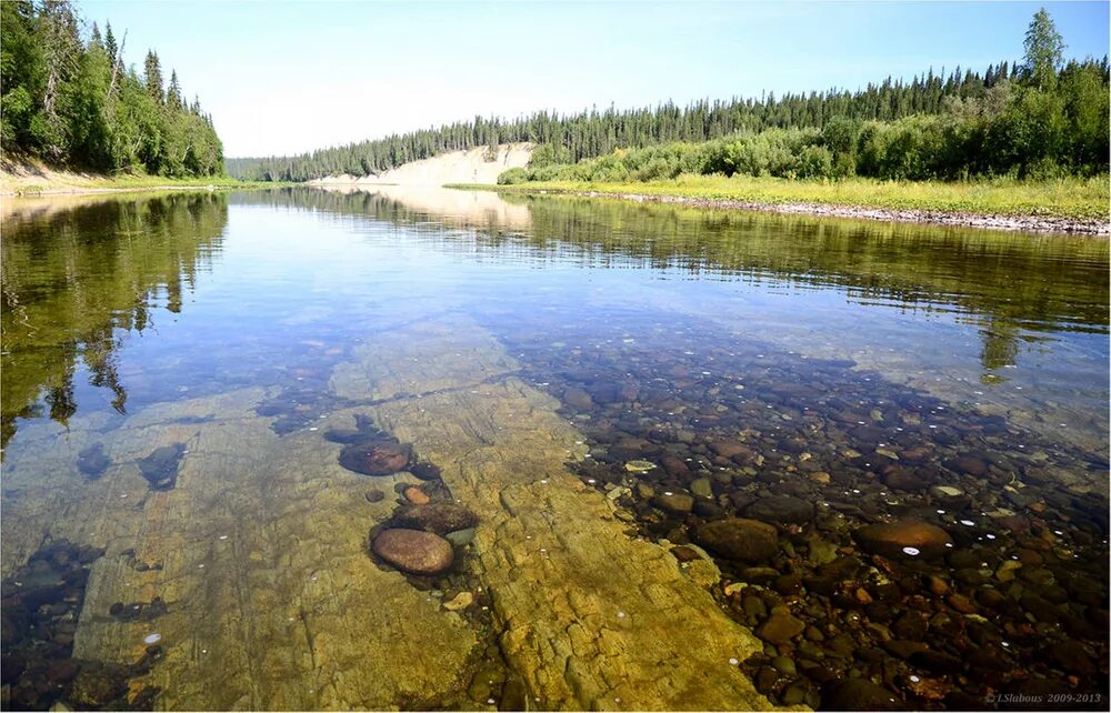 Воды рек коми. Поселок Сыня Республика Коми. Река большая Сыня. Река большая Сыня Коми. Река Косью Республика Коми.