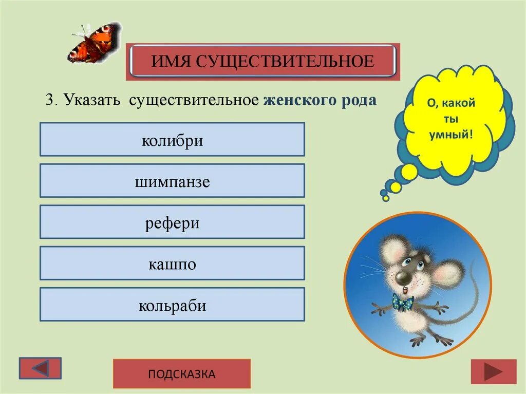 Колибри какого рода существительное. Род имен существительных Колибри. Укажите существительное женского рода. Колибри какой род существительного в русском языке. Шимпанзе подобрать прилагательное