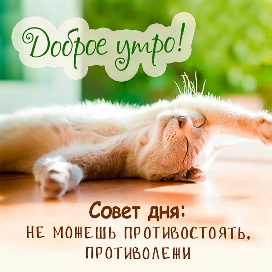 Доброго утра пятницы прикольные и хорошего дня