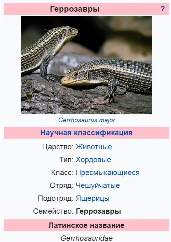 К какому классу хордовых относят исчезающих варанов