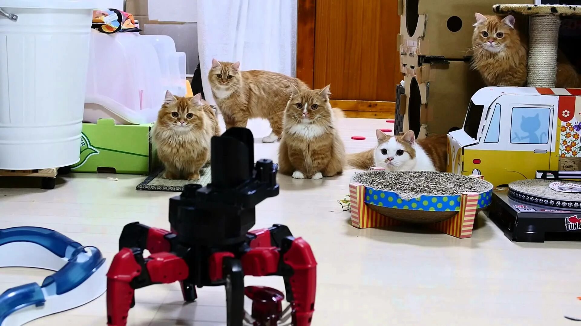 3 кота про робота. Робот «котёнок». Котиков роботов. Робот кот игрушка. Покажи робот кошку.