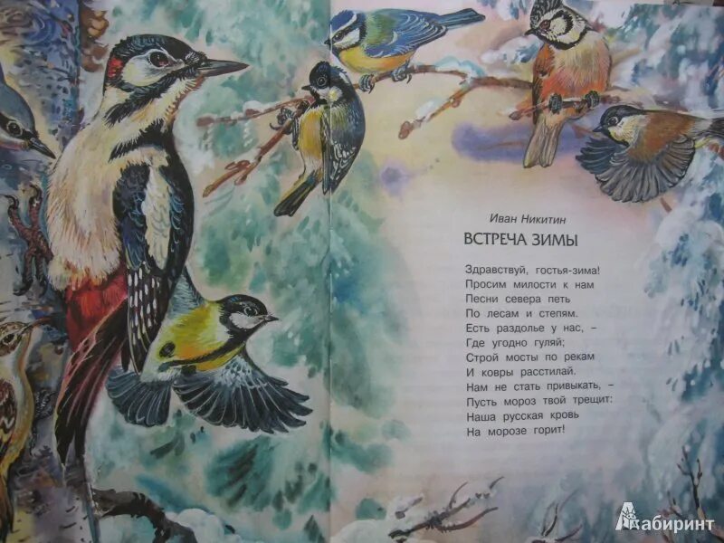 Текст стихотворения встреча зимы. Иван саввич встреча зимы. стих встреча зимы. встреча зимы никитин. встреча зимы никитин стих.