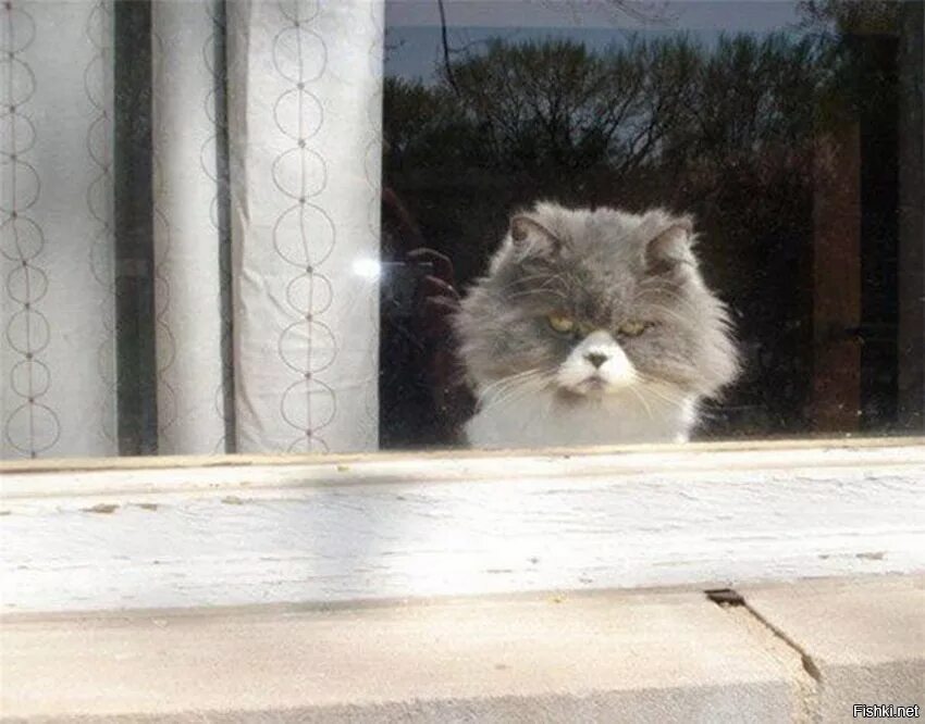 Не припомню