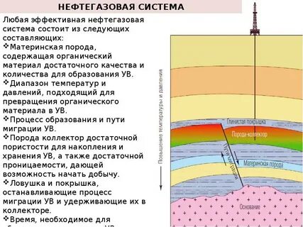 породы нефти и газа