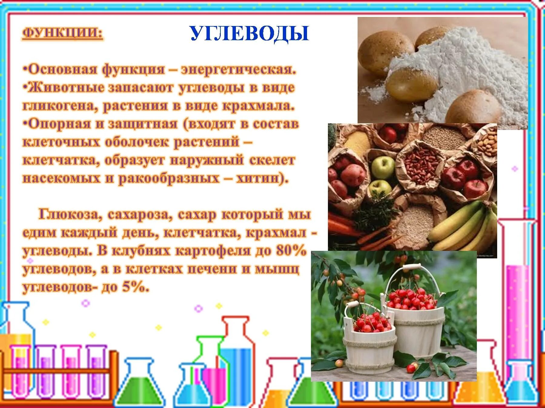 Какую функцию в организме выполняет крахмал. Углеводы. Углеводы в растительных организмах. Углеводы в растениях и животных. Энергетическая функция растений.