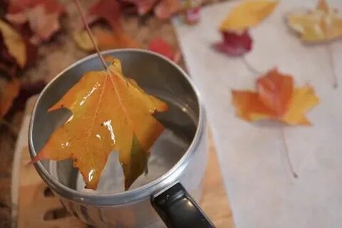 Как сохранить листья