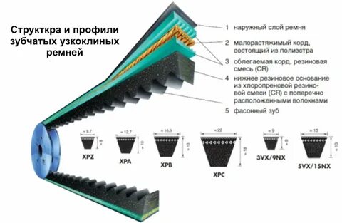 Ремень клиновой зубчатый размеры