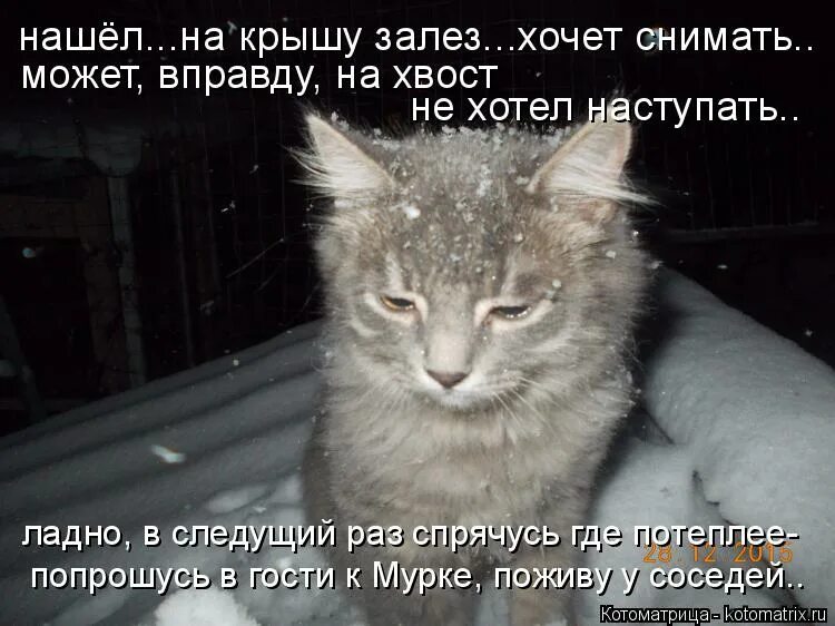 хочется есть да не хочется лезть смысл пословицы. залезть на стену. девушка лезет на стену. лезть в чужую жизнь. люблю не хочу лезть.