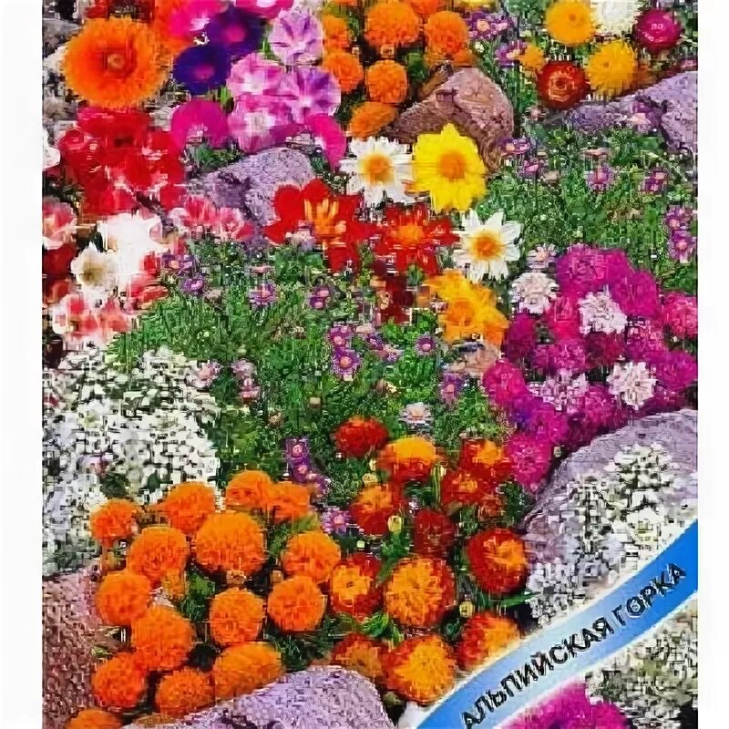 Декоративная смесь кудряшка. Семена гавриш цветы. Декоративная смесь. Смесь полевых цветов семена. Декоративная смесь.