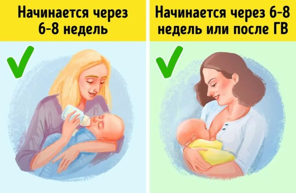Как выглядят лохии после. Норма лохий после родов. лохии в послеродовом периоде. длительность лохий после родов при грудном вскармливании.