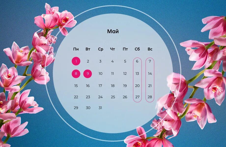 8 мая выходной день. Выходные в мае. Майские праздники 2023. Майские праздники календарь. График майских праздников.