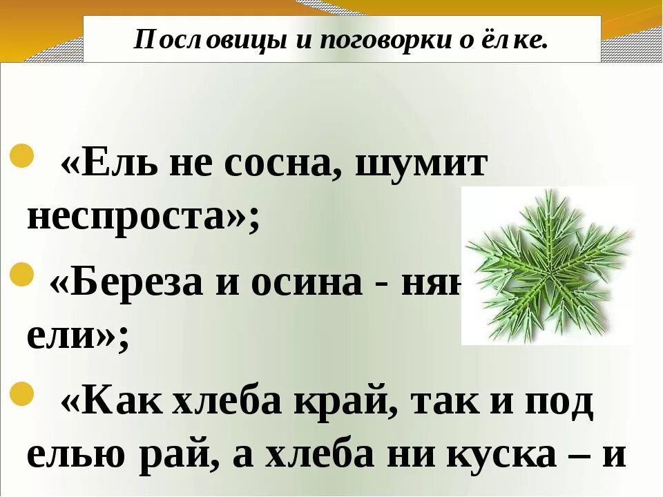 Предложения с словом хвойный. Пословицы и поговорки о елке. Пословицы про елку. Поговорки про елку. Пословицы про елку и сосну.