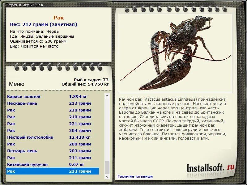 ерш носарь реальная рыбалка. деревенские просторы язь. русская рыбалка 3 1 австралия ябби. Rak game. русская рыбалка 376 австралия чёрный ворчун.