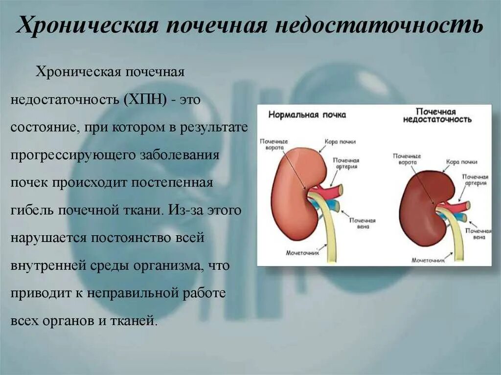 Хроническая почечная недостаточность с3а. Острая почечная недостаточность при ХБП. Почечная недостаточность с4. Острая, хроническая почечная недостаточность патология. Пиелонефрит описание