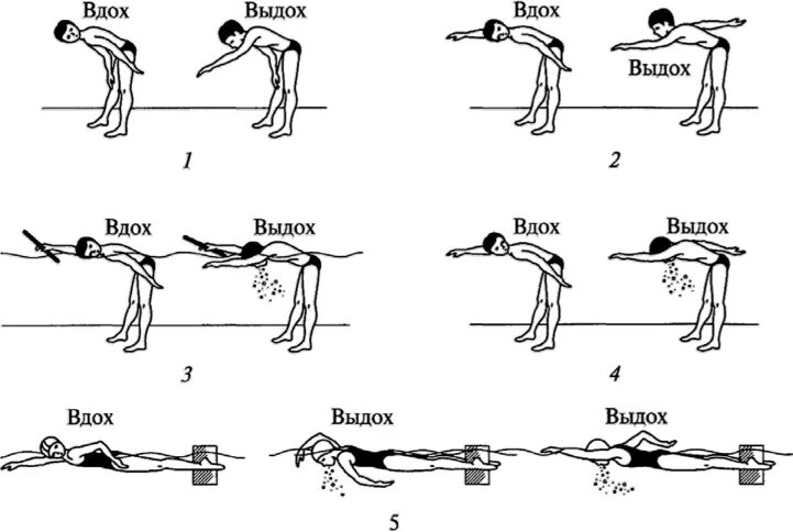 Методика обучения кролю. Упражнения на суше для плавания кролем. Основные упражнения для изучения техники плавания кролем на груди. Кроль на спине упражнения на суши. Кроль на груди упражнения на суше.