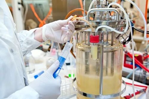 Обобщающий урок-семинар Тема: Селекция животных, растений и микроорганизмов. Учи