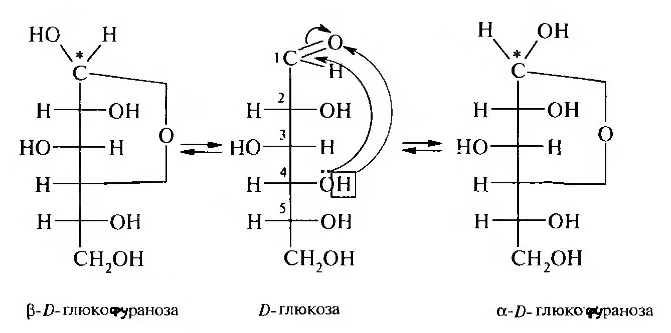 Формула колли Толленса Глюкоза. Формулы Фишера колли-Толленса и Хеуорса. D Глюкоза в формуле колли Толленса. Образование циклической формы d-Глюкозы. Фруктоза циклическая