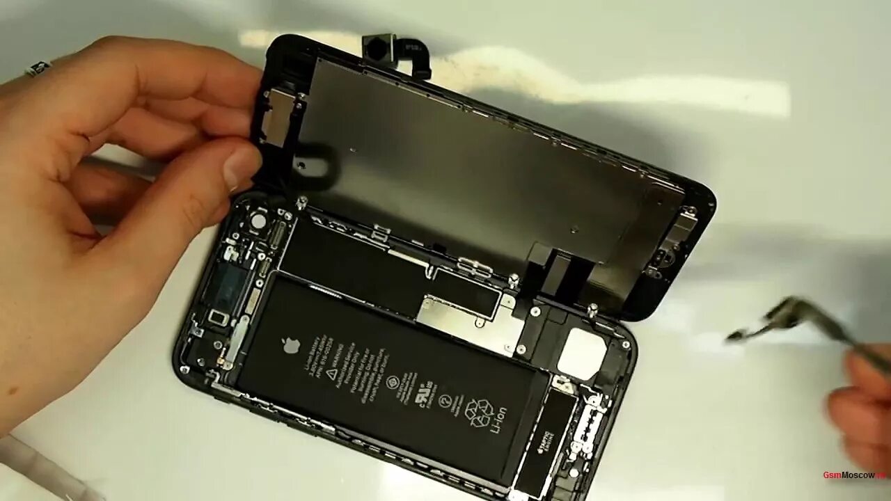 Раскрытые разбор. Iphone 7 Plus в разборе. Iphone 7 разобранный. Iphone 7 Disassembly. Разобранный айфон 7 плюс.