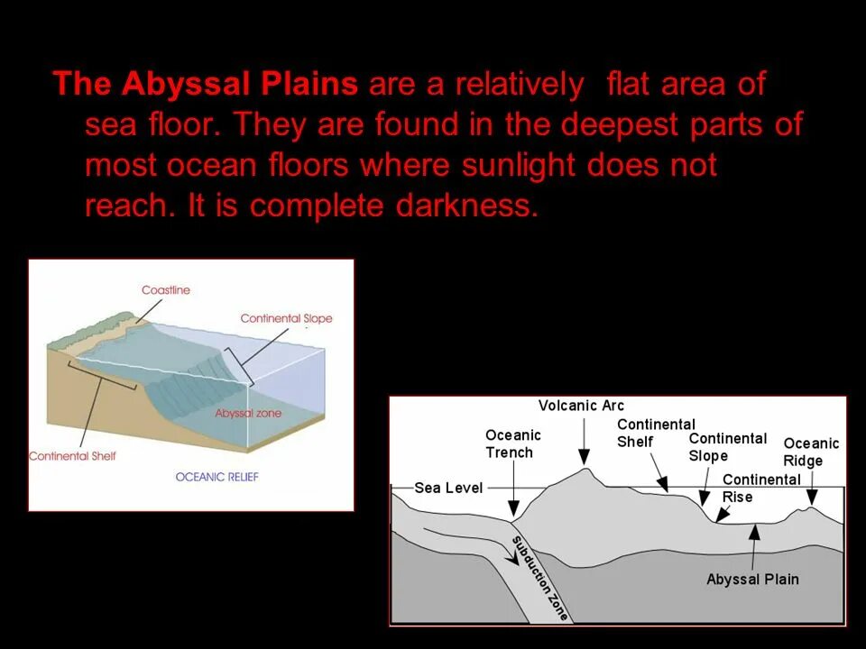 Flat area. Abyssal Zone. Абиссаль. Миди абиссаль. Abyssal и море поменялись местами.