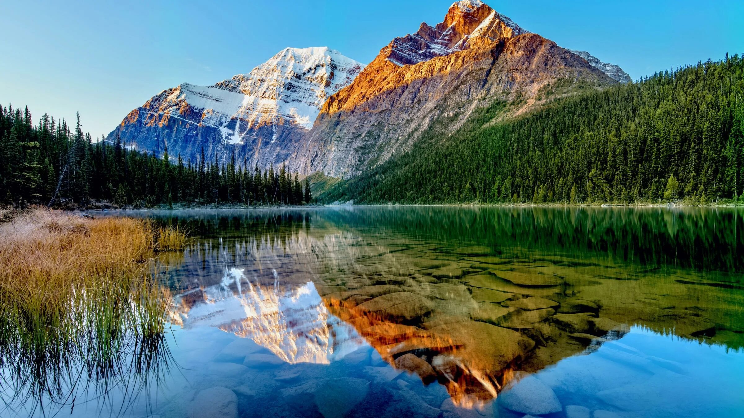 Гора Эдит кавелл Канада. Канада озеро в лесу. Горы с фильтром. David Pirrie — MT Edith Cavell, Canadian Rockies 2023. Mt content