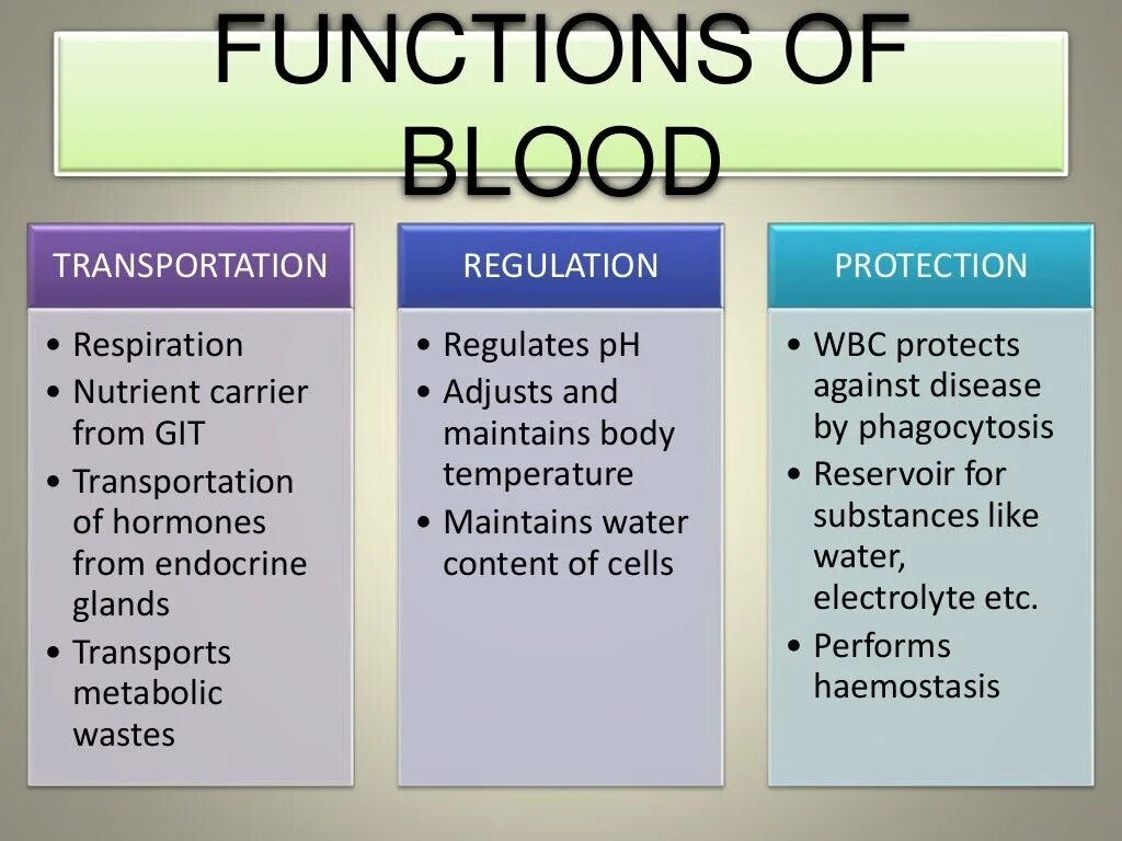 Functions of Blood. Transport function of Blood. Blood Cells functions. Functions of the Blood таблица.