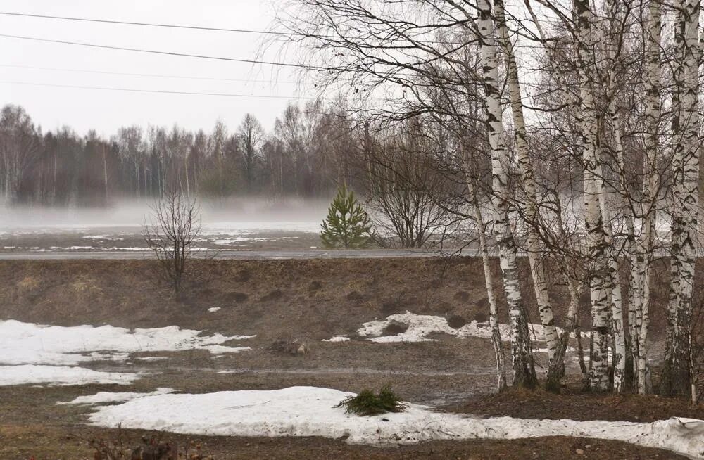 Пасмурный день весной. Дождь ранней весной. Пасмурный весенний день